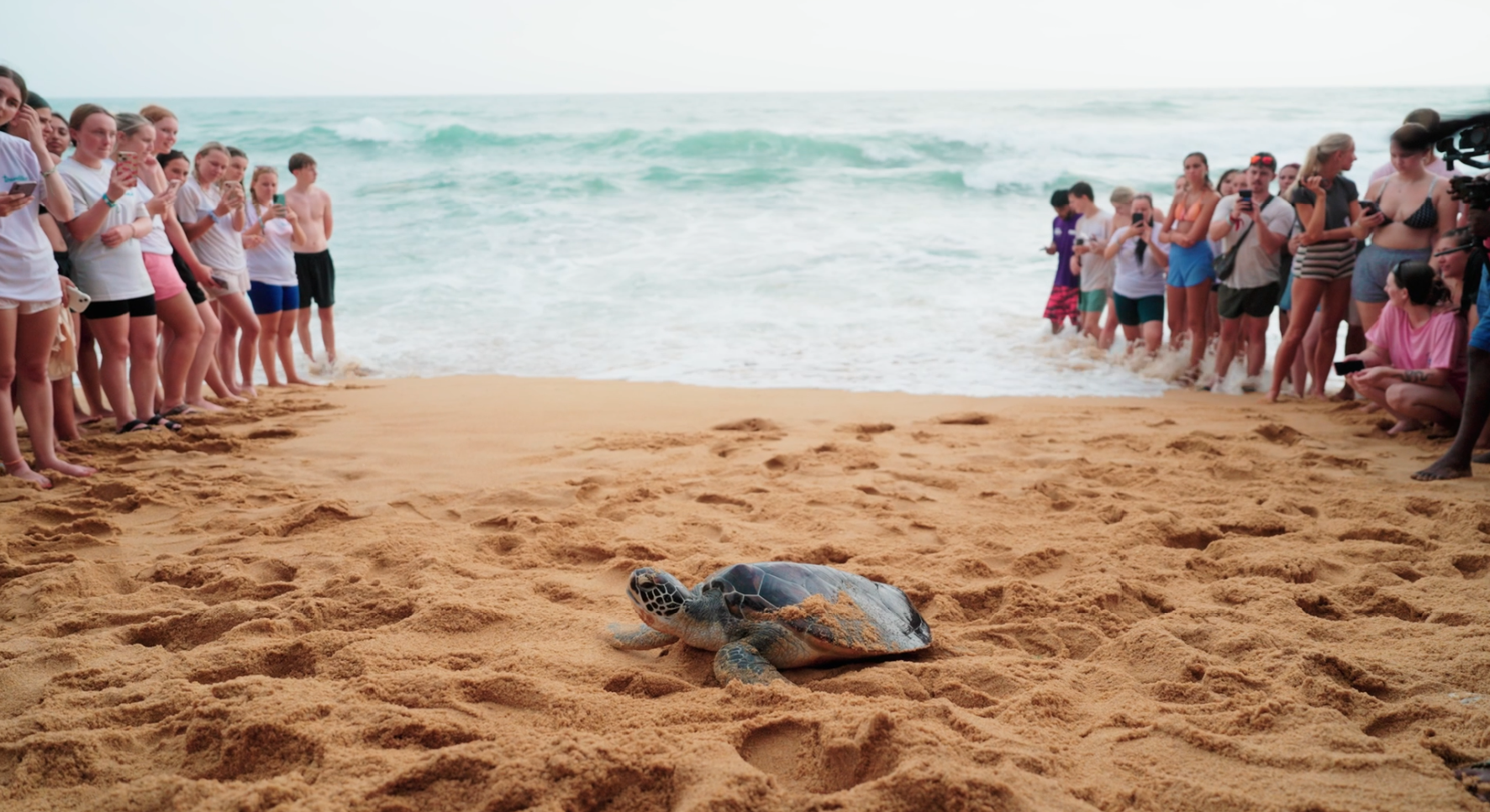 Image for More Than Volunteering: Discover the Opportunities with Travelteer