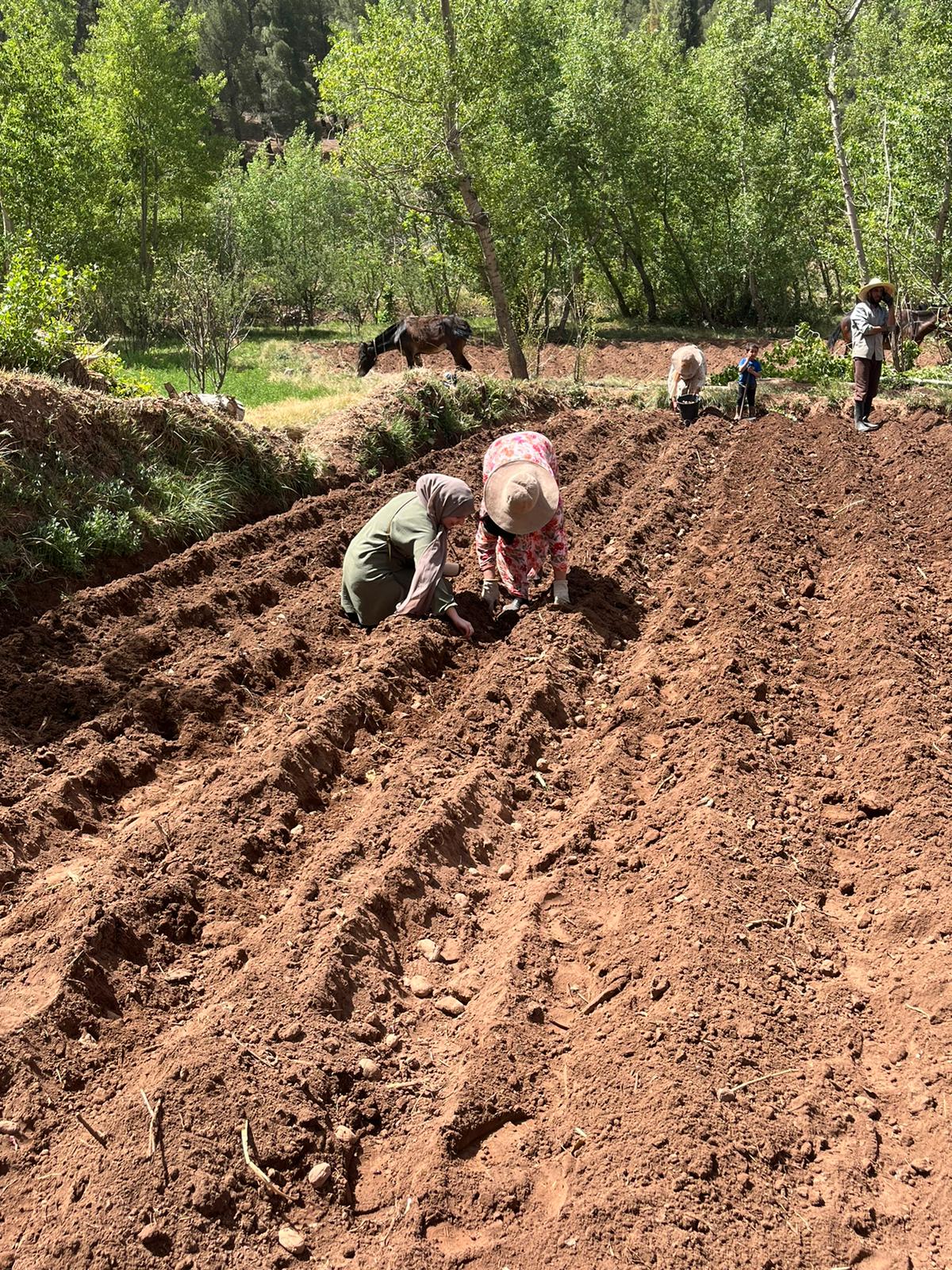 Slide Image for Agriculture