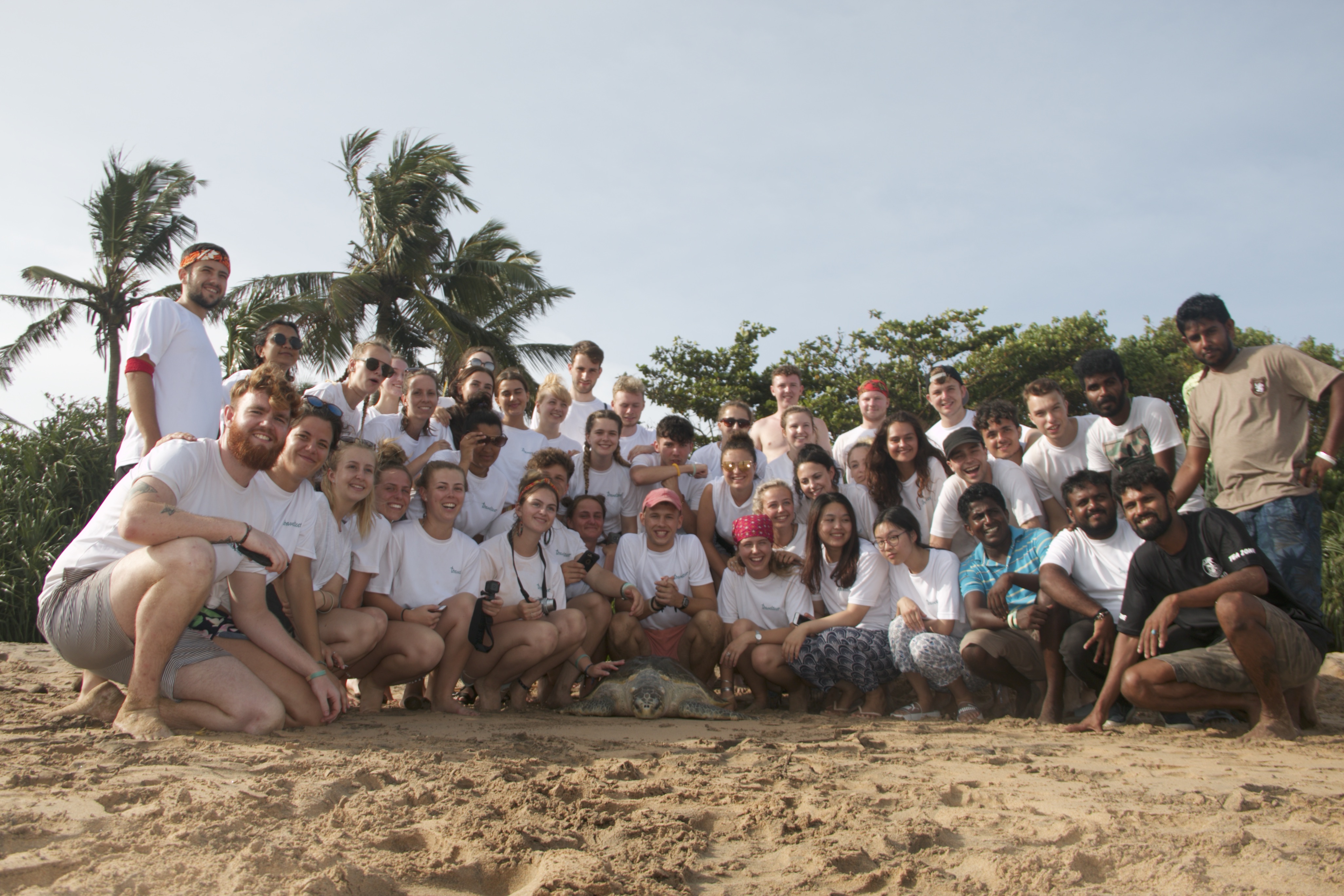 Image for More Than Volunteering: Discover the Opportunities with Travelteer
